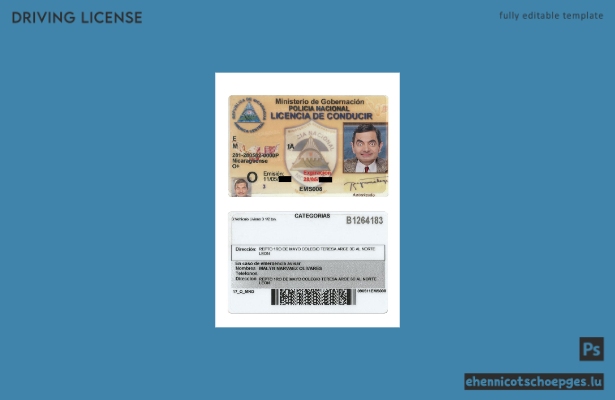 Beispiel für einen nicaraguanischen Führerschein (Vorschau)